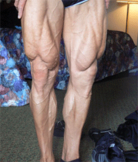 muscular legs