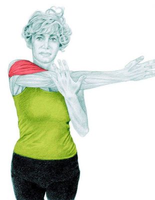 Анатомия стретчинга: боковая растяжка плеча