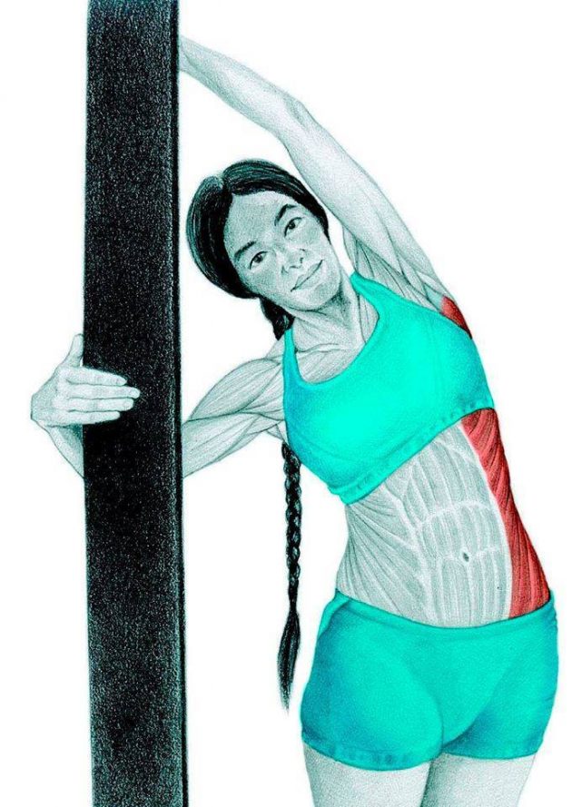Анатомия стретчинга: боковой наклон к стене