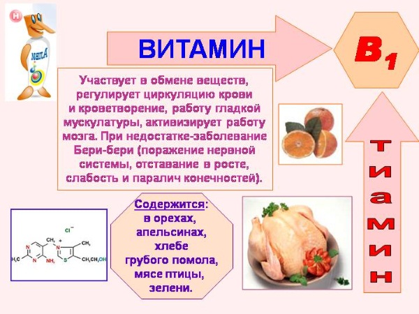 Таблетки для памяти и работы мозга взрослым. Недорогие витамины, препараты для памяти. Список эффективных средств