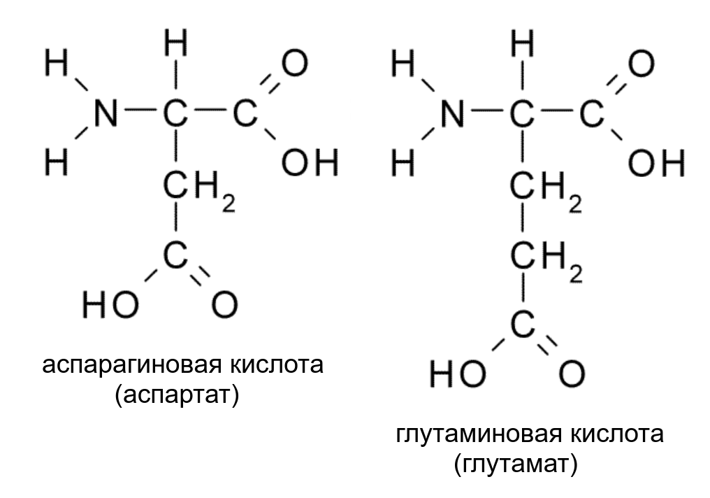 Глутаминовая кислота структурная формула картинка