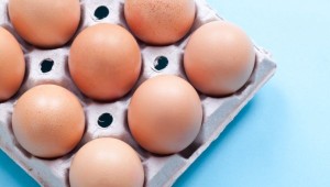 Полезные свойства белка из куриных яиц