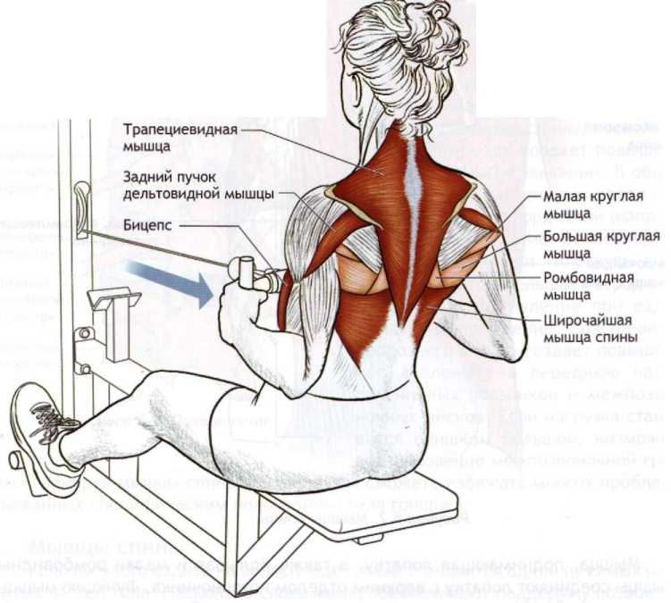 Укрепление грудных мышц